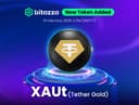 What Is XAUt? Everything You Need to Know About Tether Gold in 2026