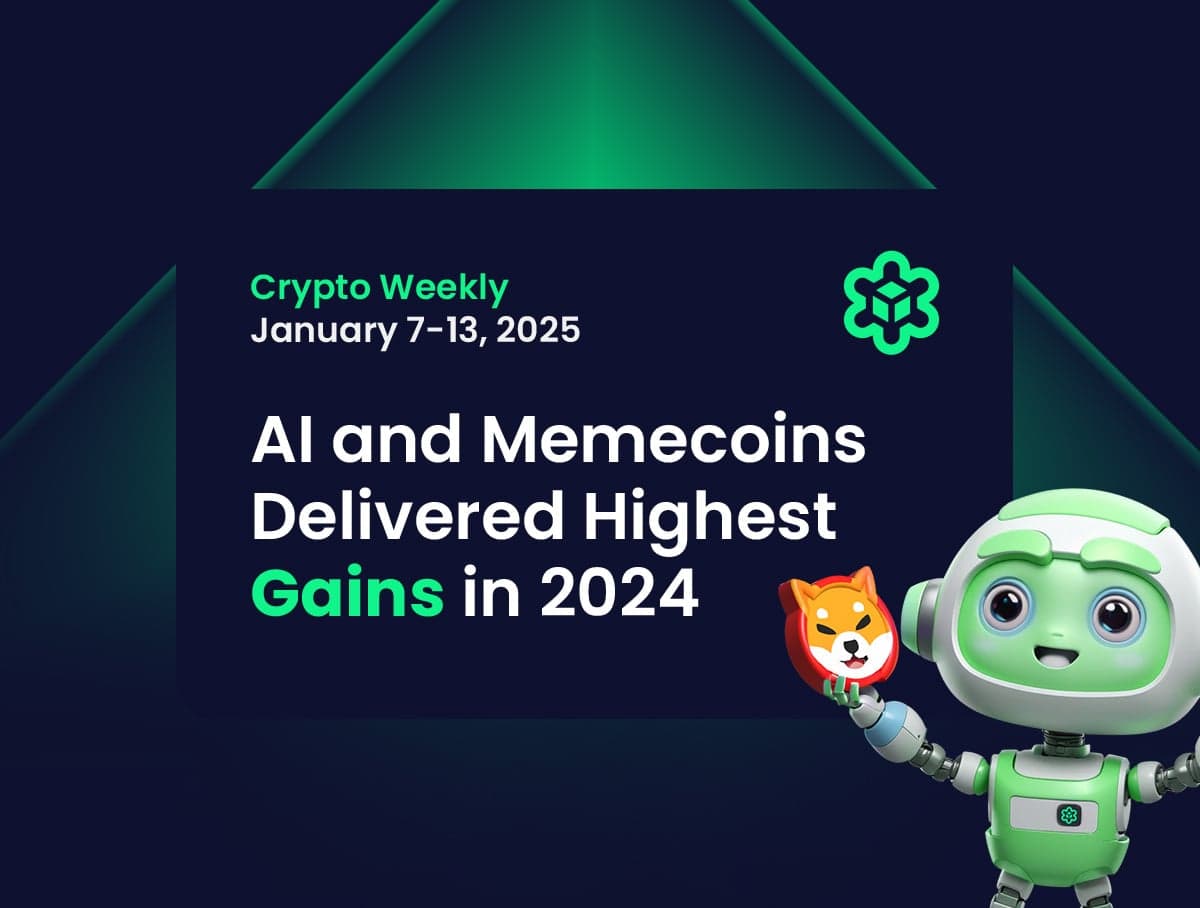 AI and Memecoins Delivered Highest Gains in 2024