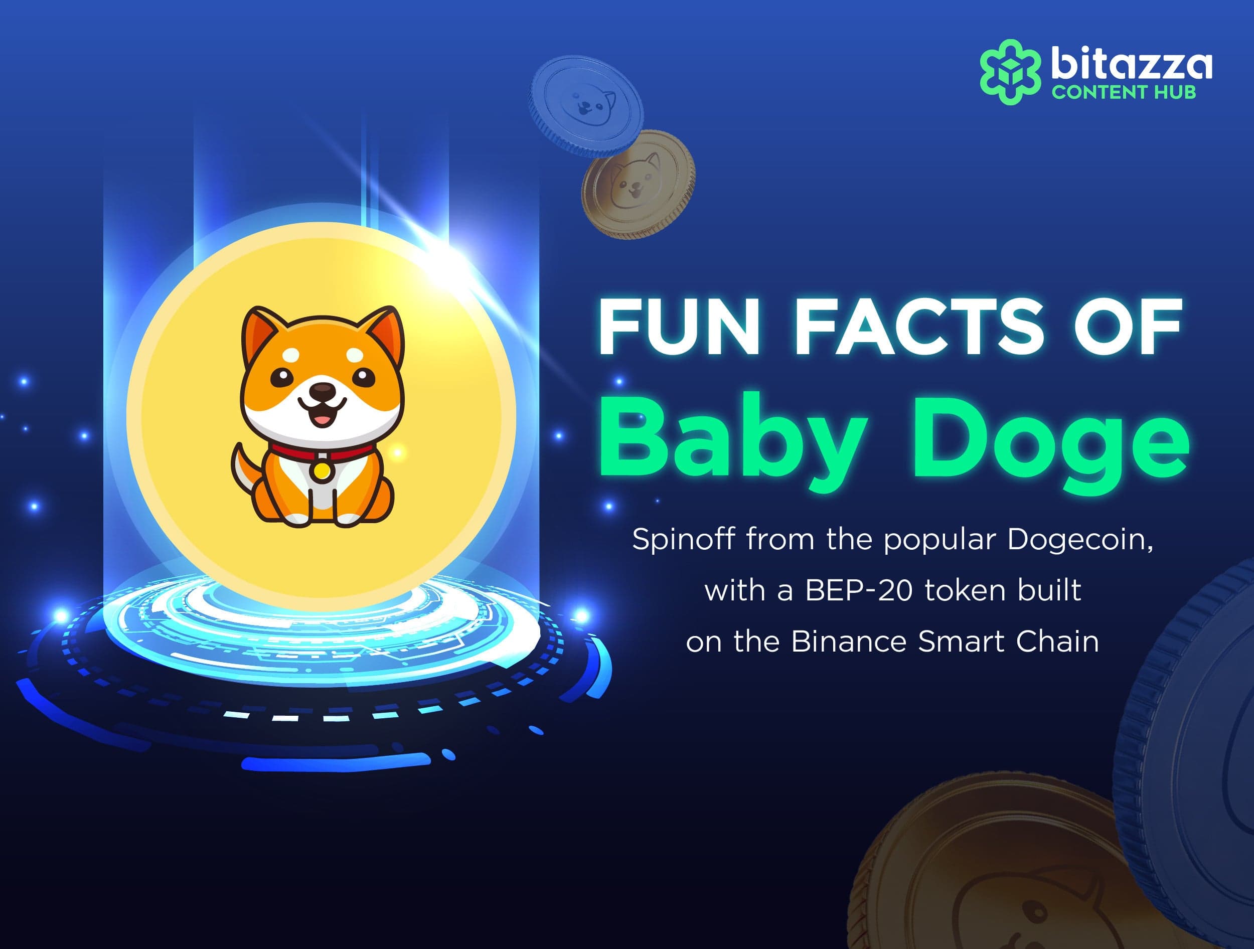 Fun Facts of Baby Doge