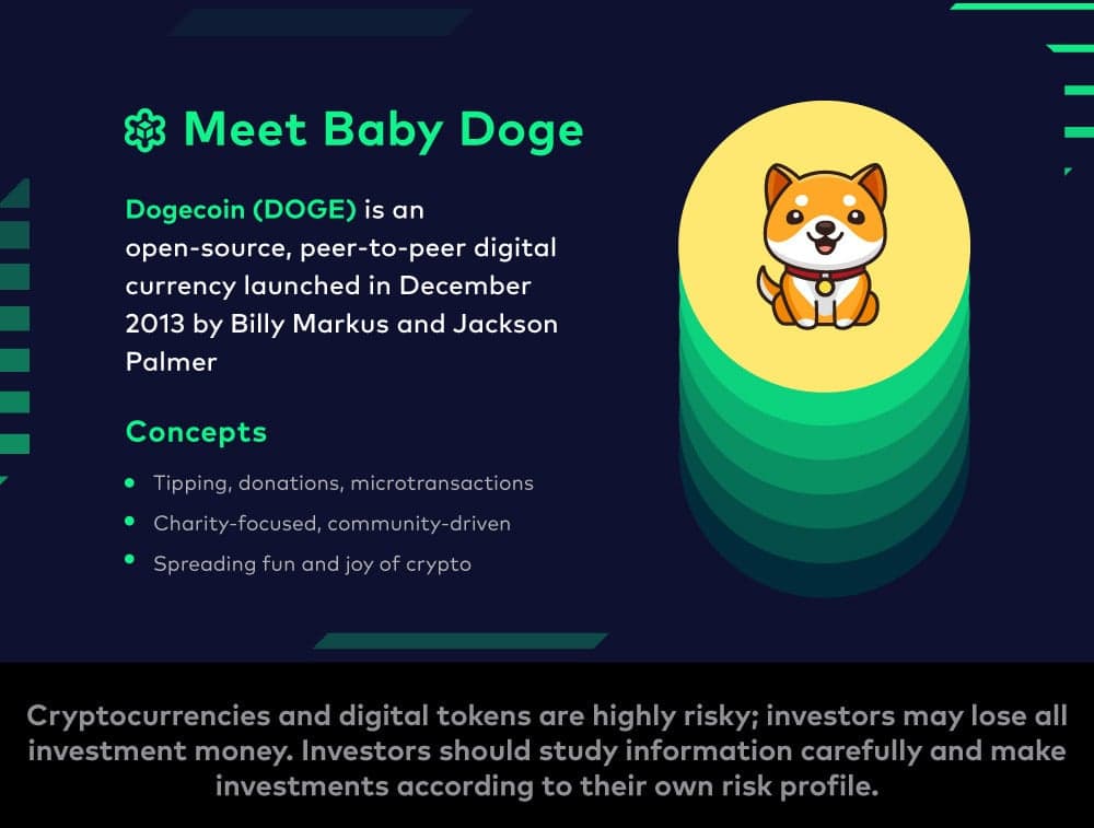 Meet Baby Doge Coin (BABYDOGE) - The Adorable Meme Community Token