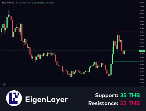 technical-en-04@1 (2)
